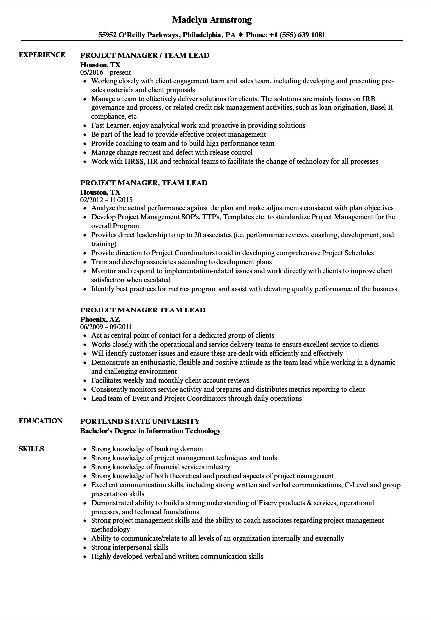 10 Years Experience Project Manager Resume