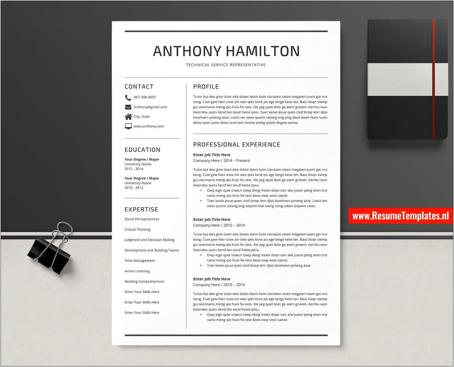 2 Page Resume Template Download Free