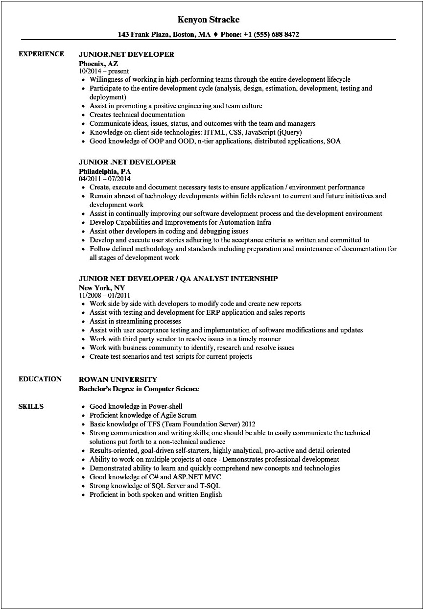 2 Years Experience Resume In Net Free Download