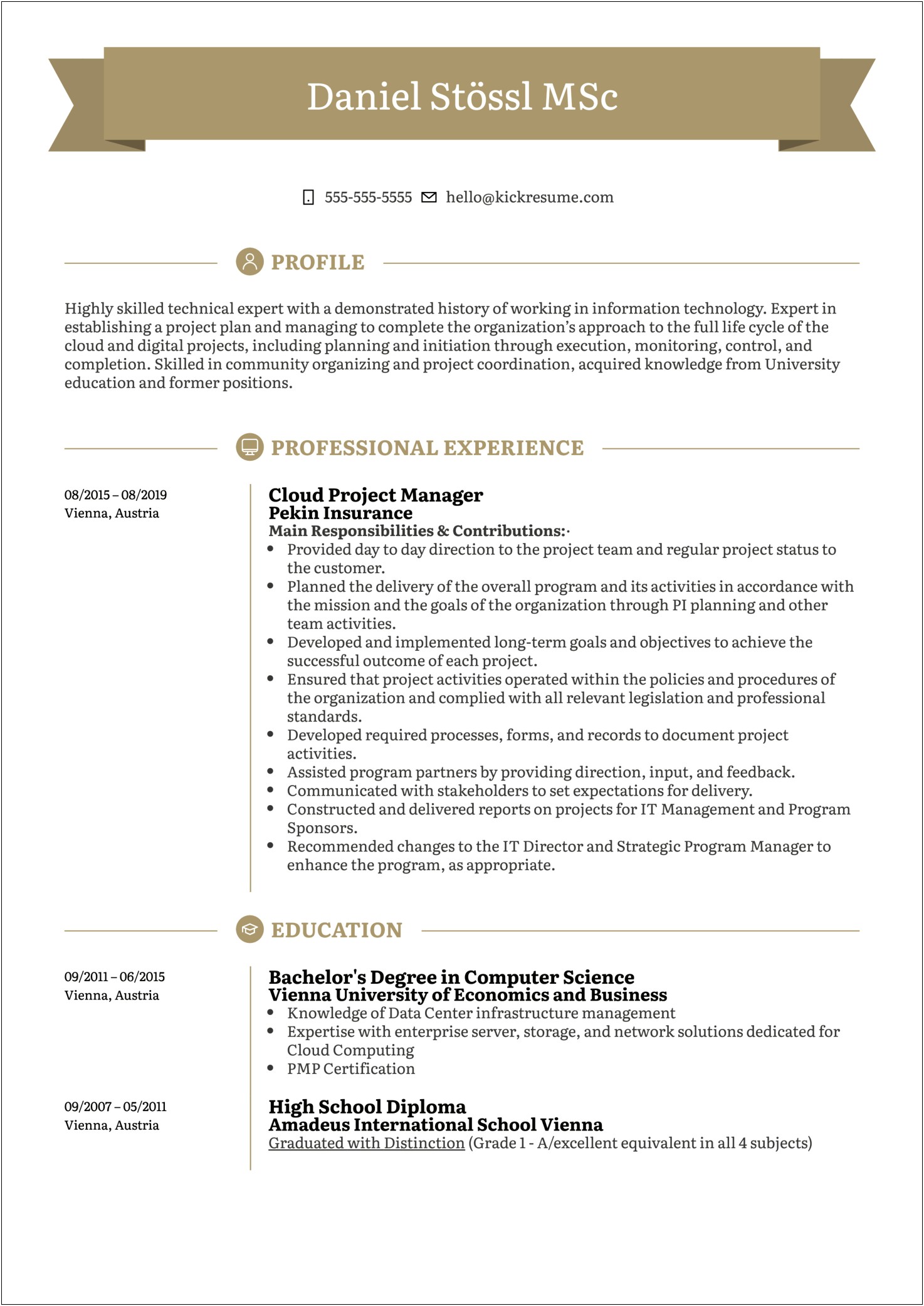 2019 Advertising Project Manager Resume
