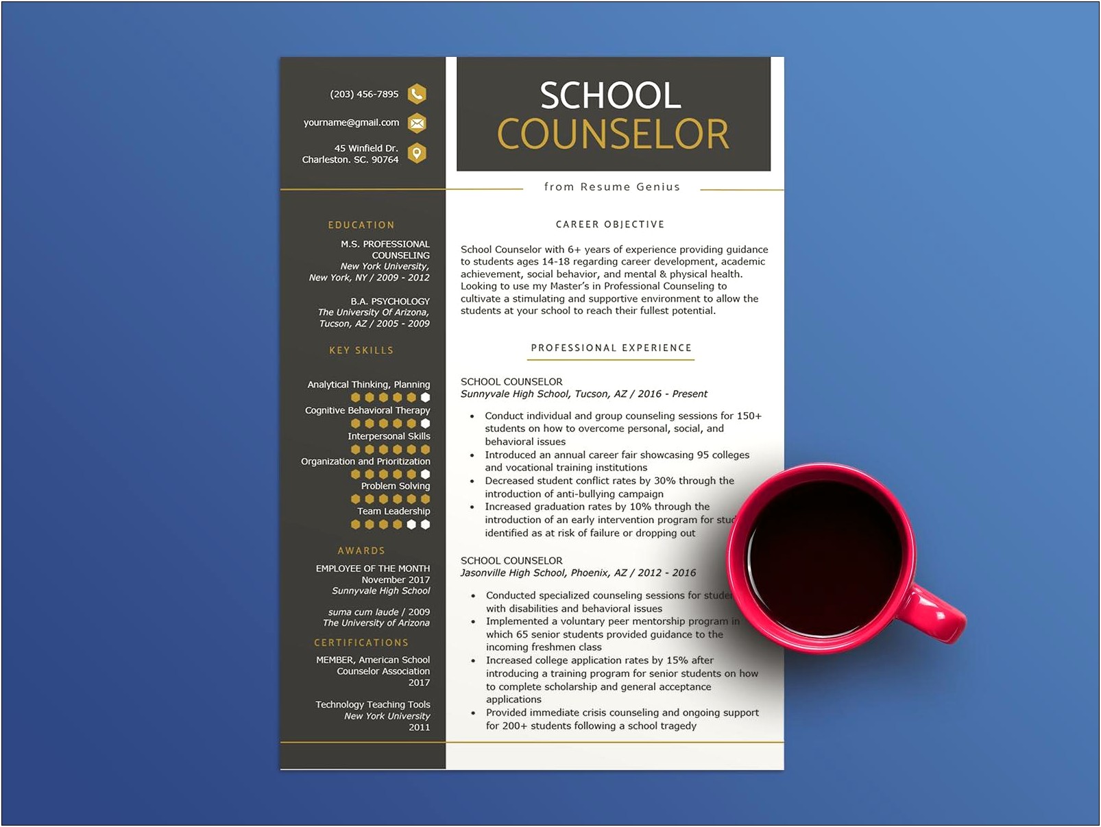 2019 School Counselor Resume Examples