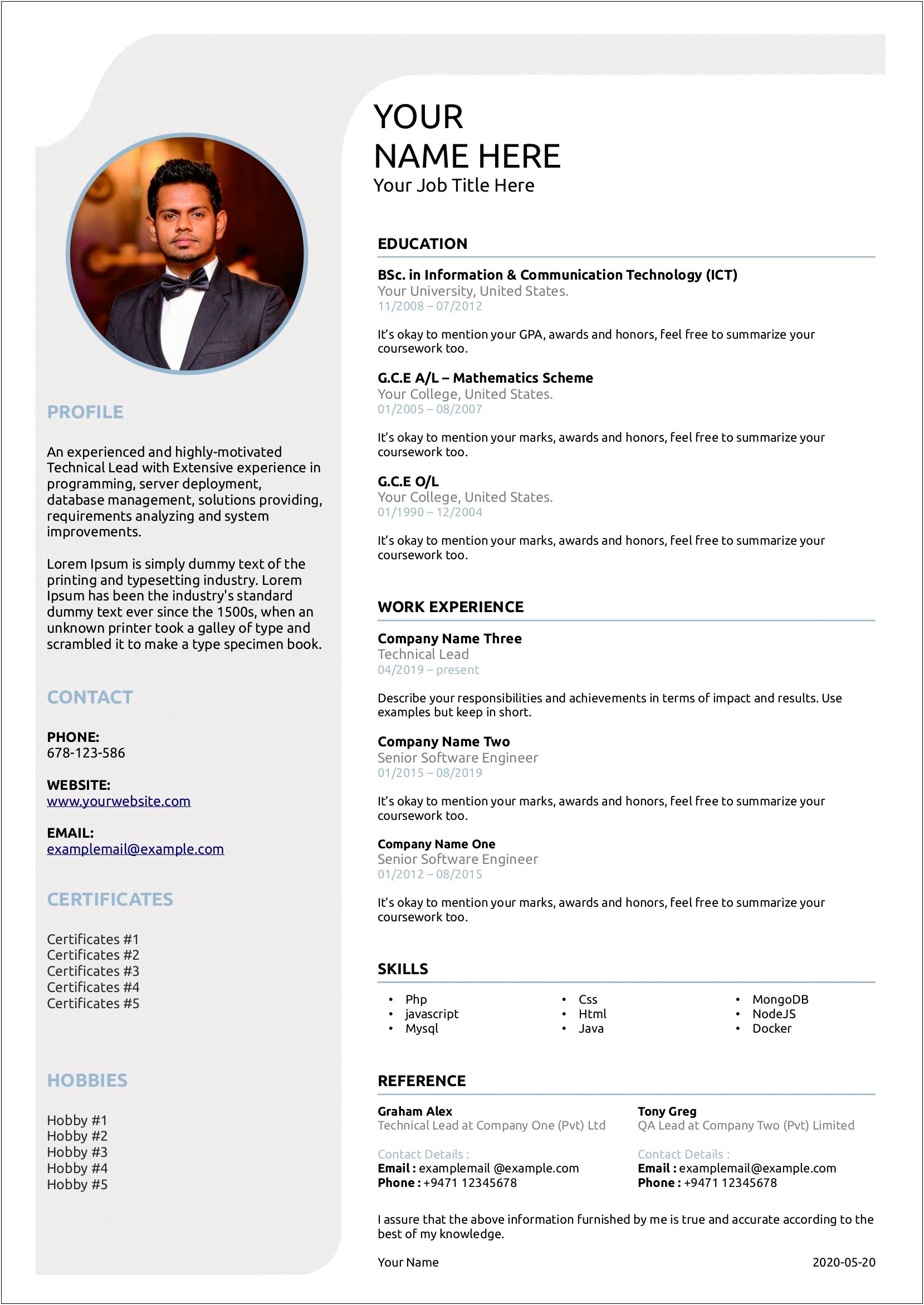 3 Page Resume Format Free Download
