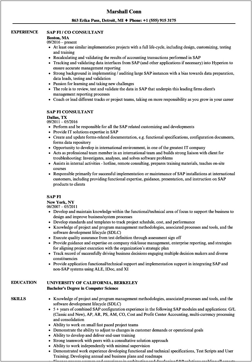 3 Years Experience Resume For Sap Fico Consultant