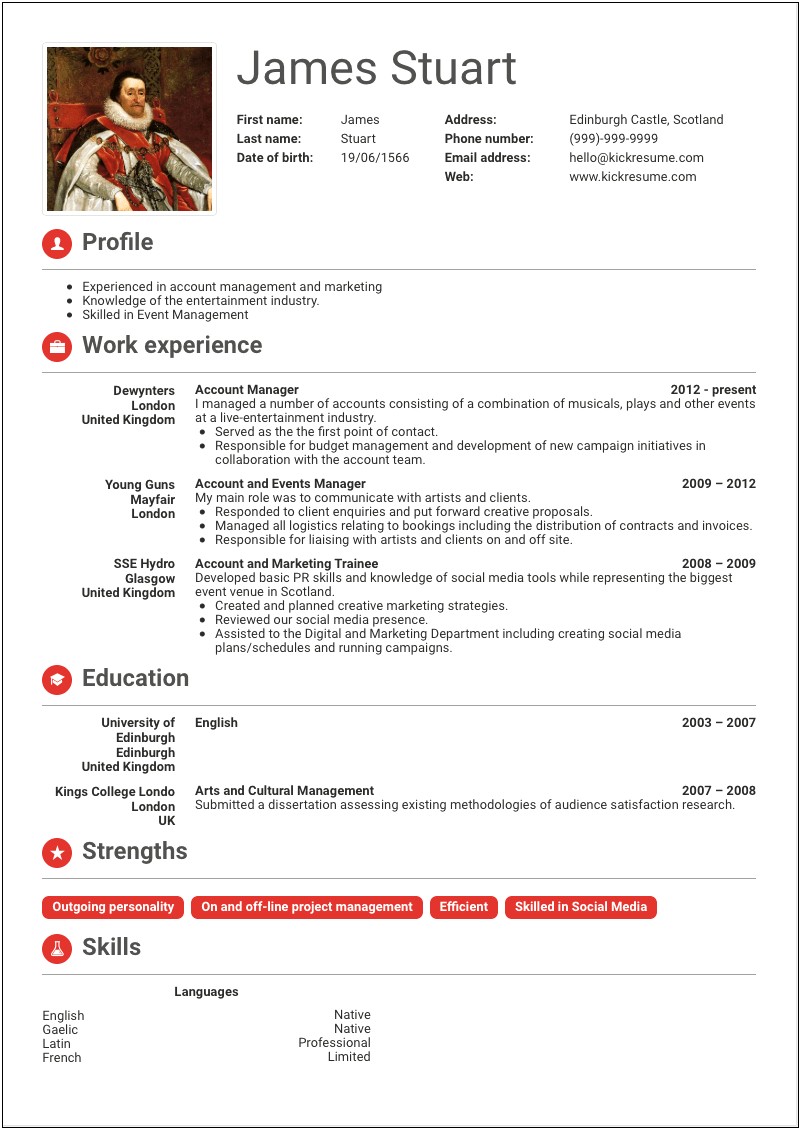 Account Manager Resume Summary Examples