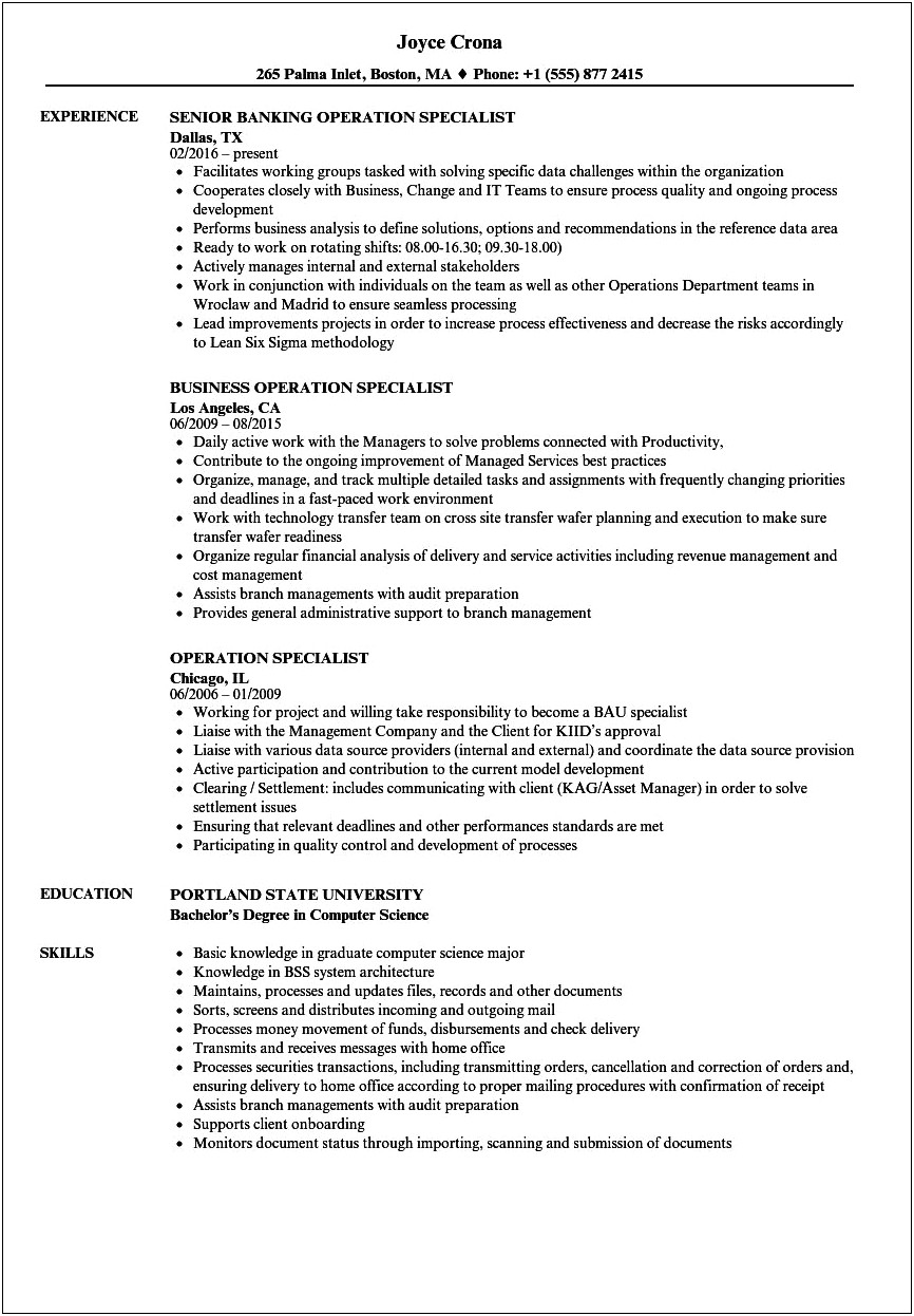 Ad Operations Specialist Resume Sample