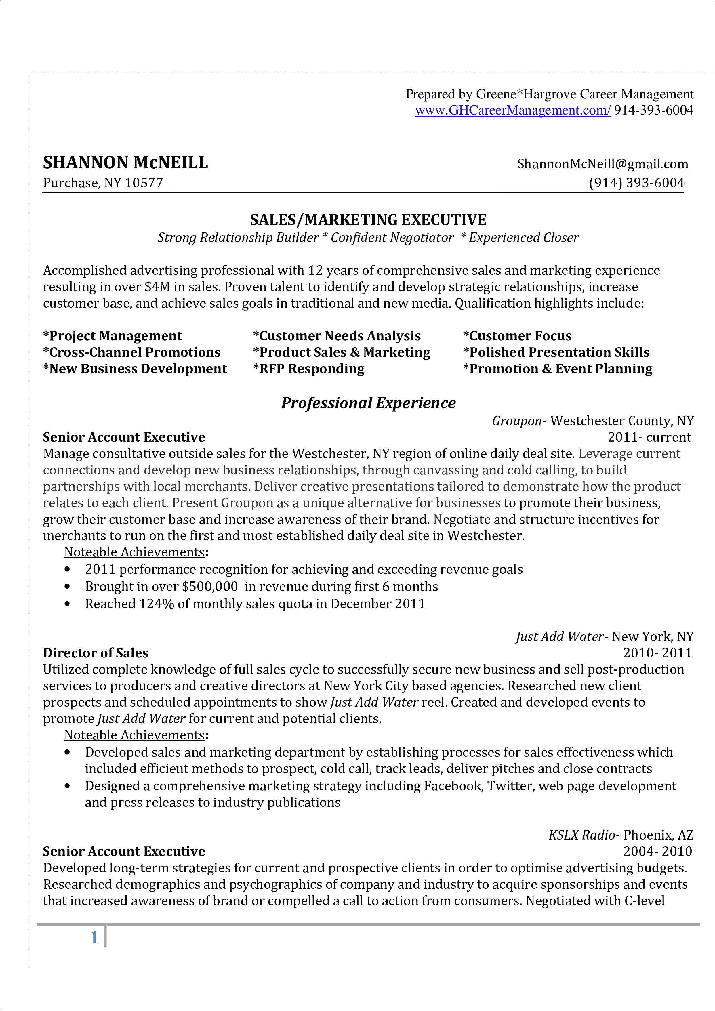 Advertising Account Director Resume Example