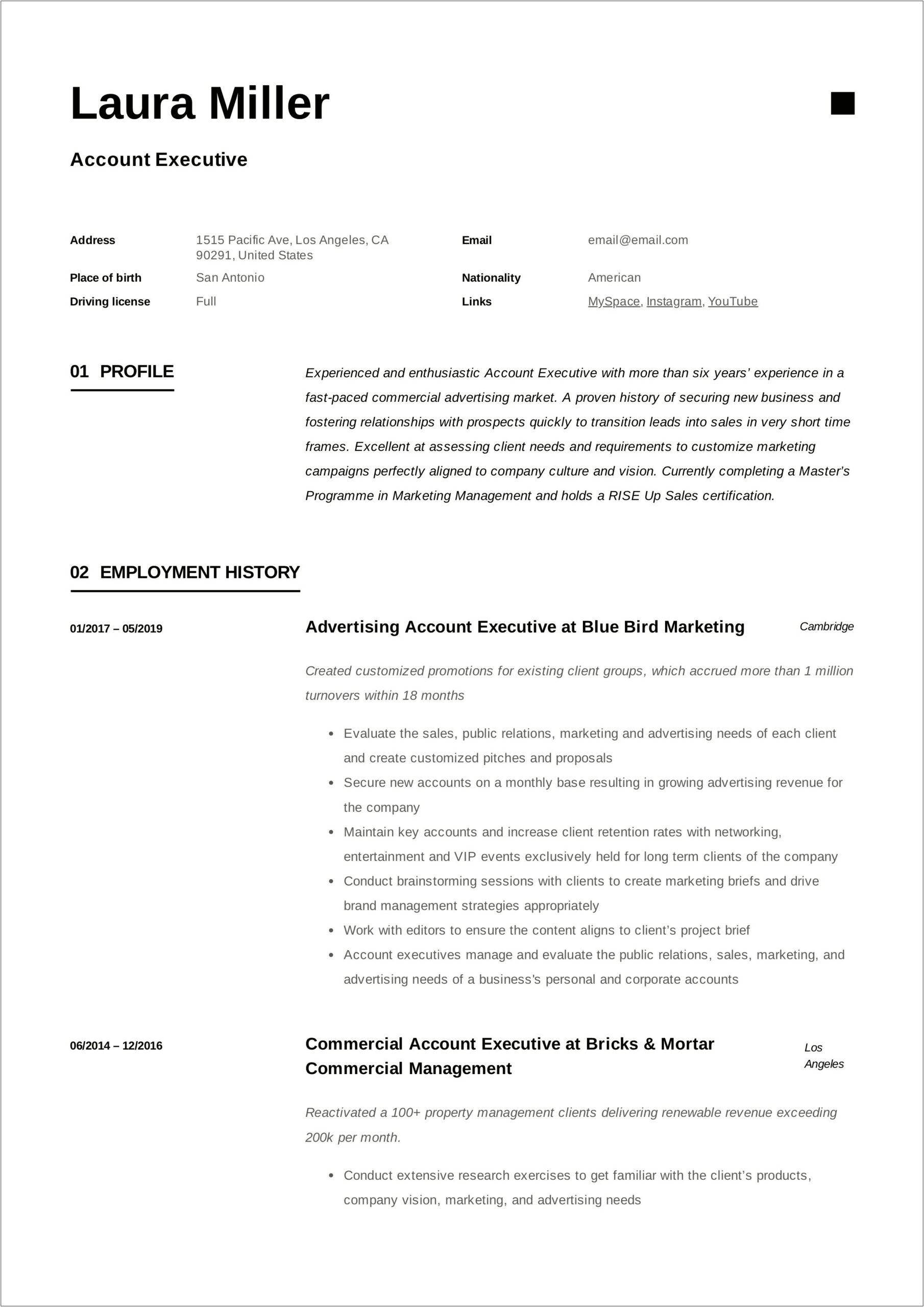 Advertising Account Director Resume Samples