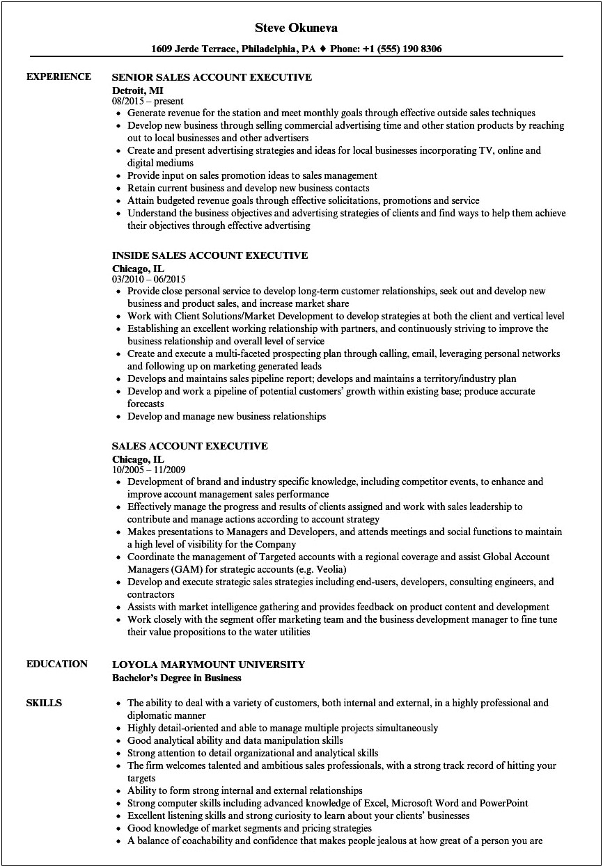 Advertising Account Executive Resume Samples