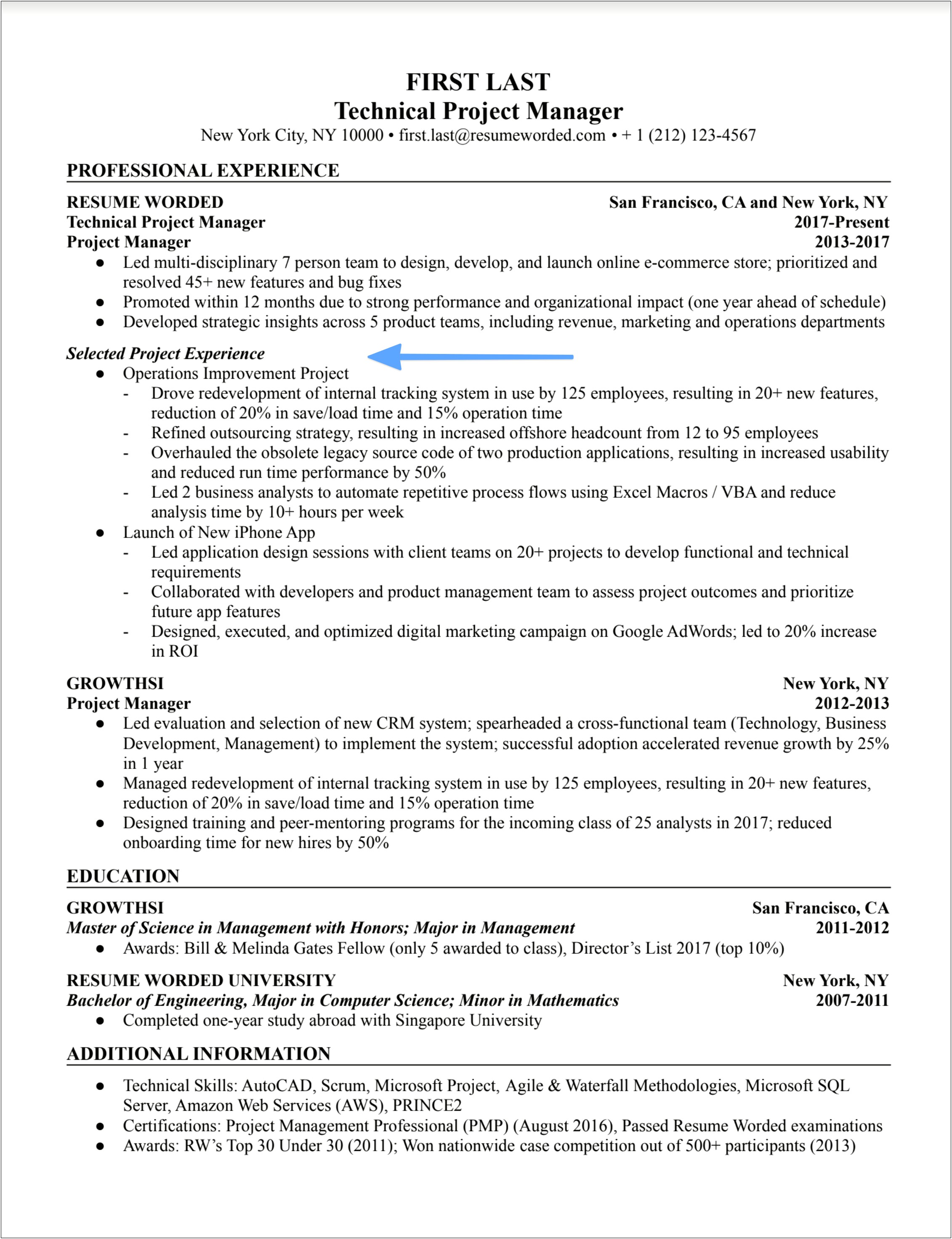 Advertising Project Manager Resume Example