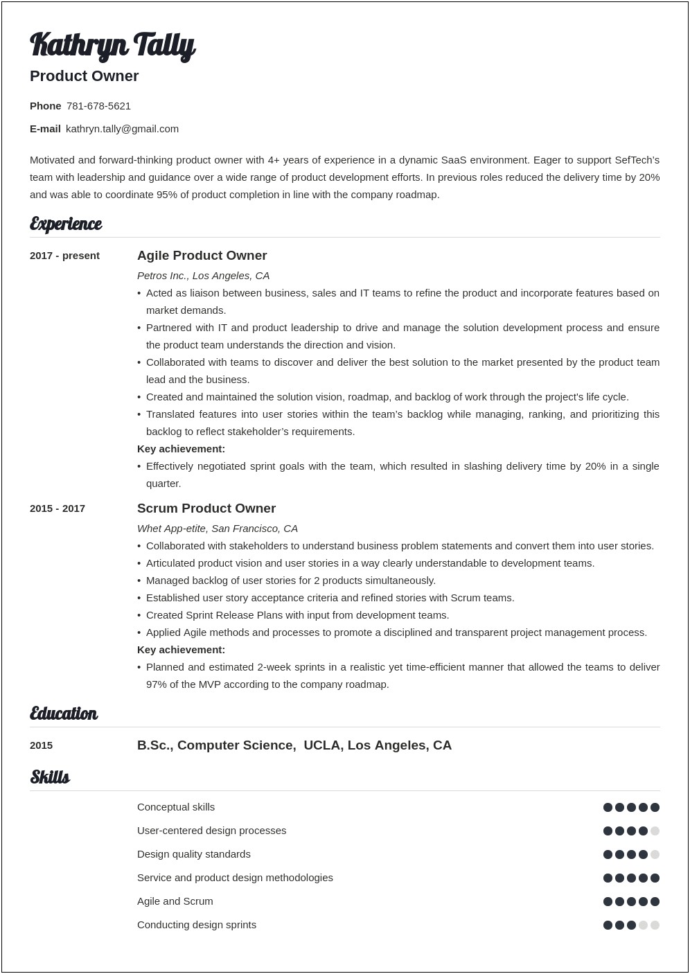 Agile Environment Product Owner Resume Template