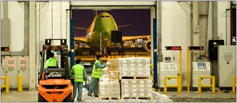 Air Cargo Handler Resume Sample