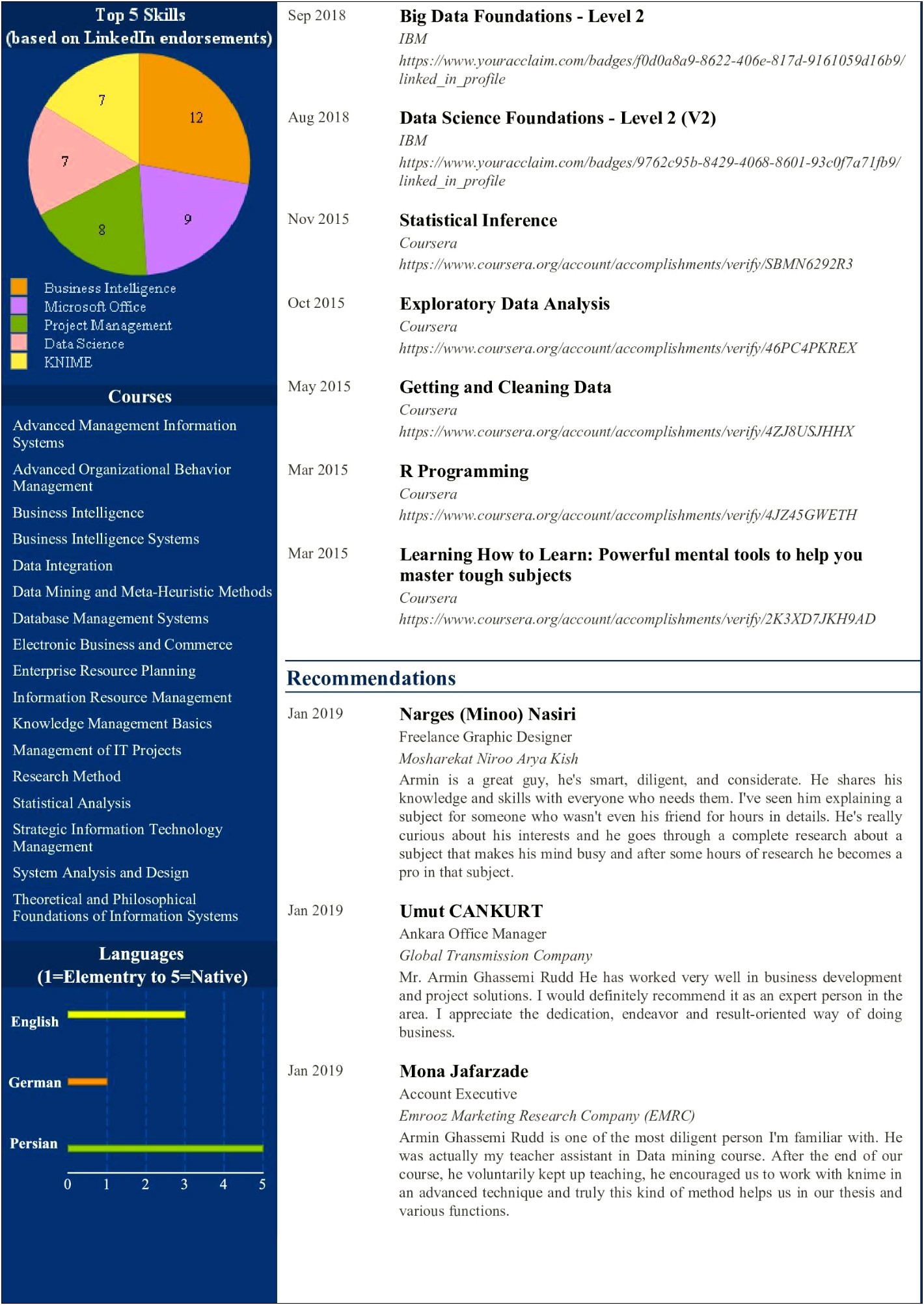 Analytics Interactive Resume Example Linkedin