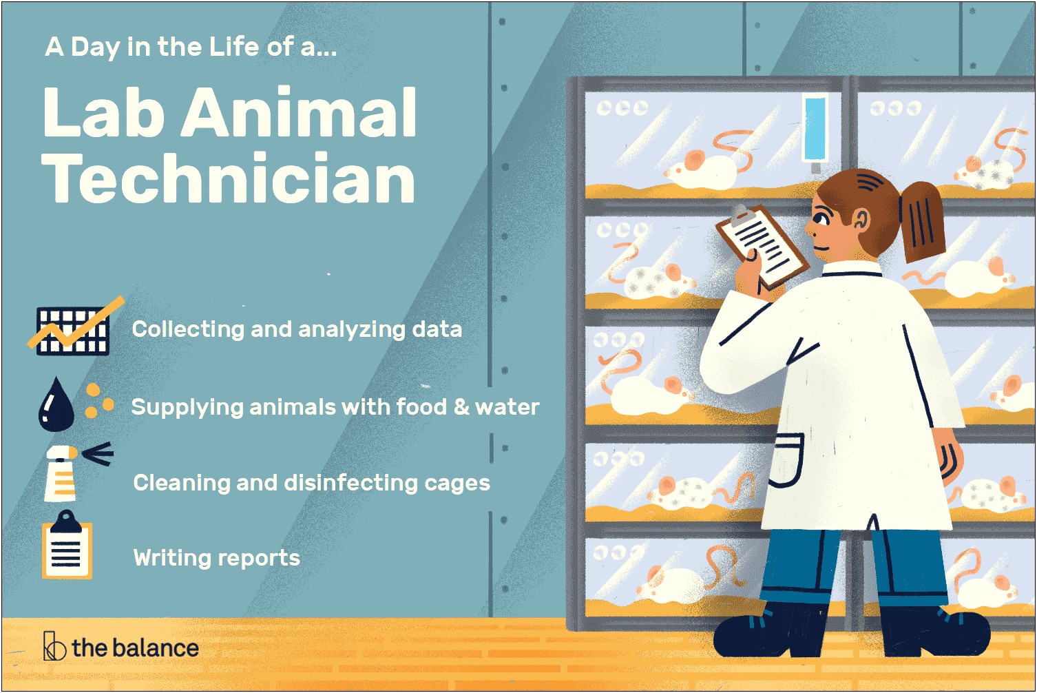 Animal Care Technician Resume Job Description