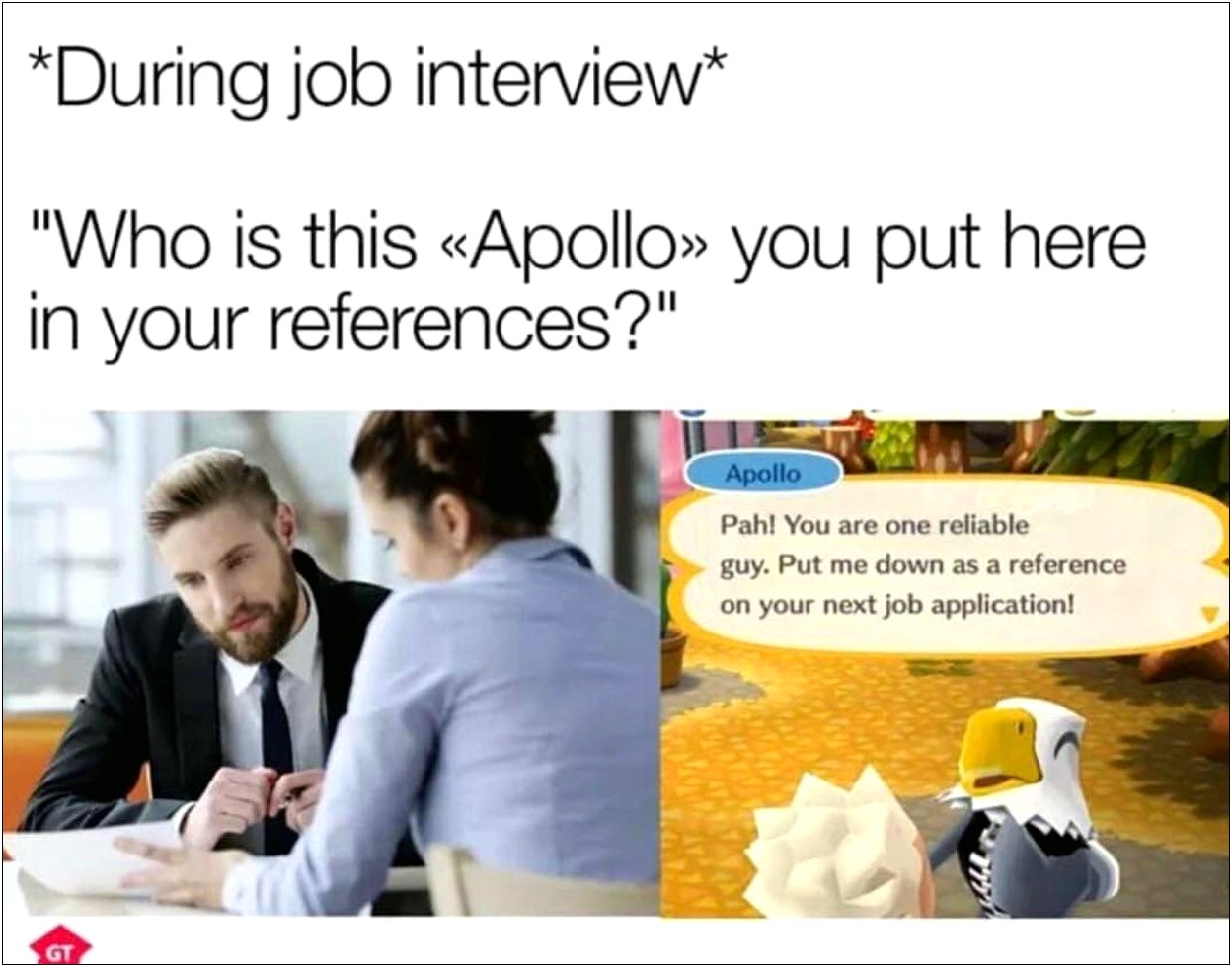 Animal Crossing Job Resume Meme