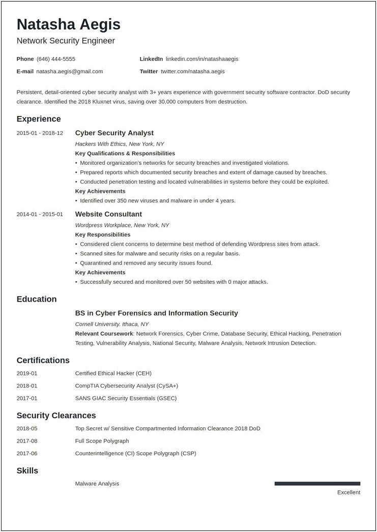 Application Security Testing Sample Resume