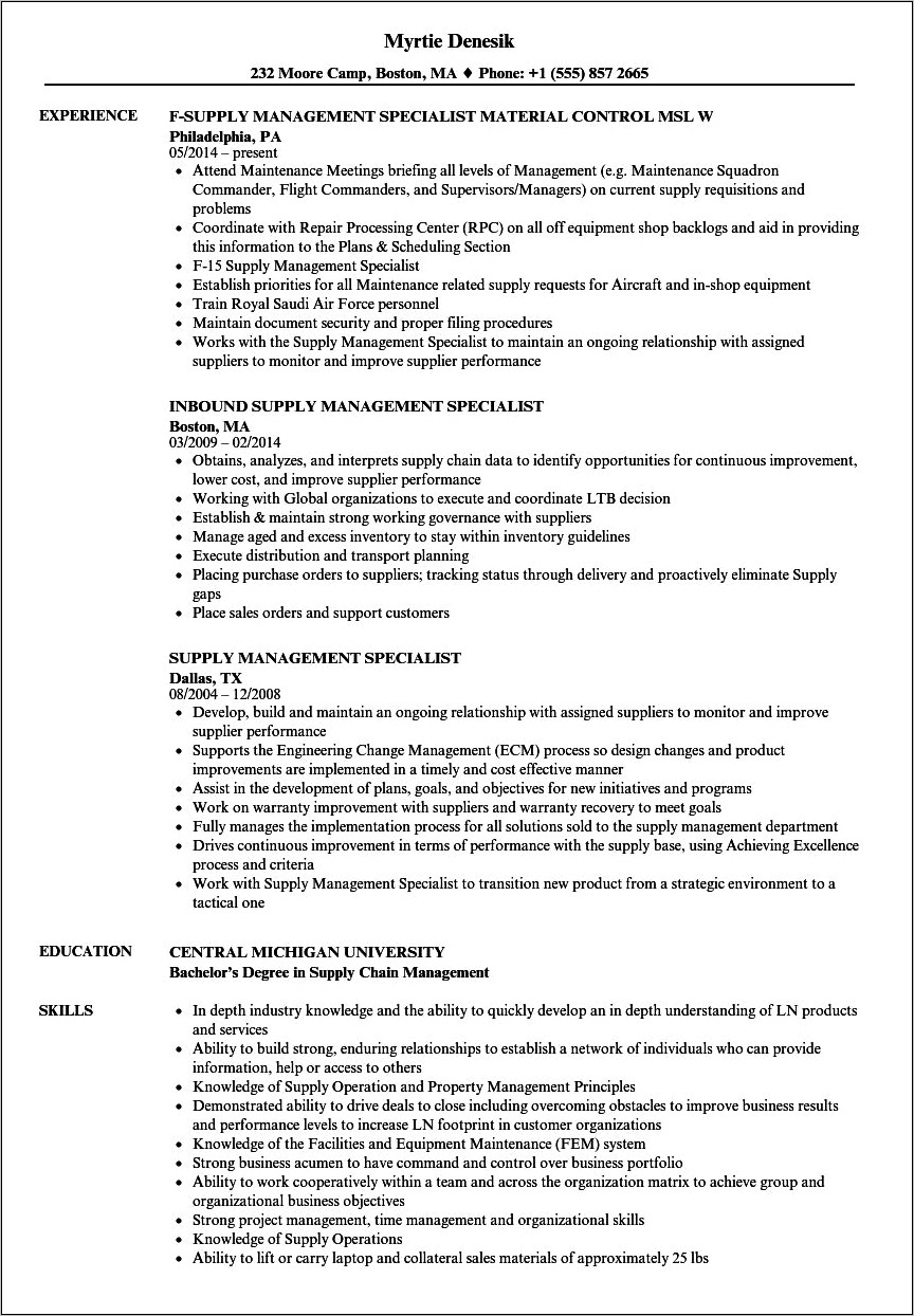 Army It Specialist Resume Example
