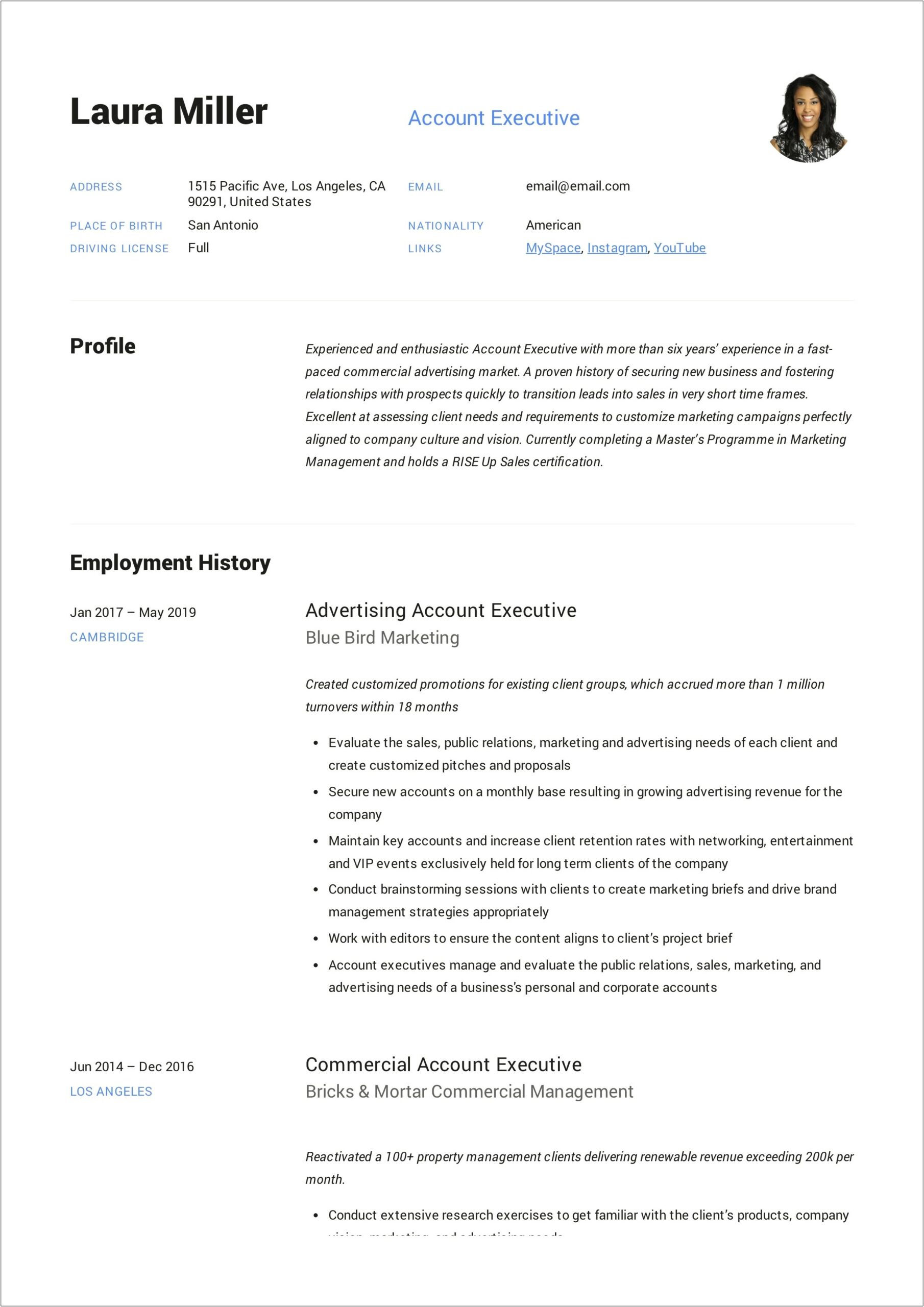 Assistant Account Executive Resume Examples