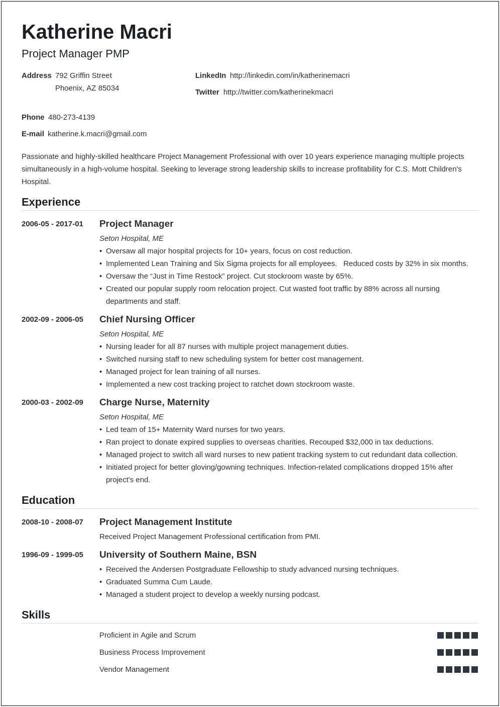 Assistant To Lead Project Manager Resume Sample