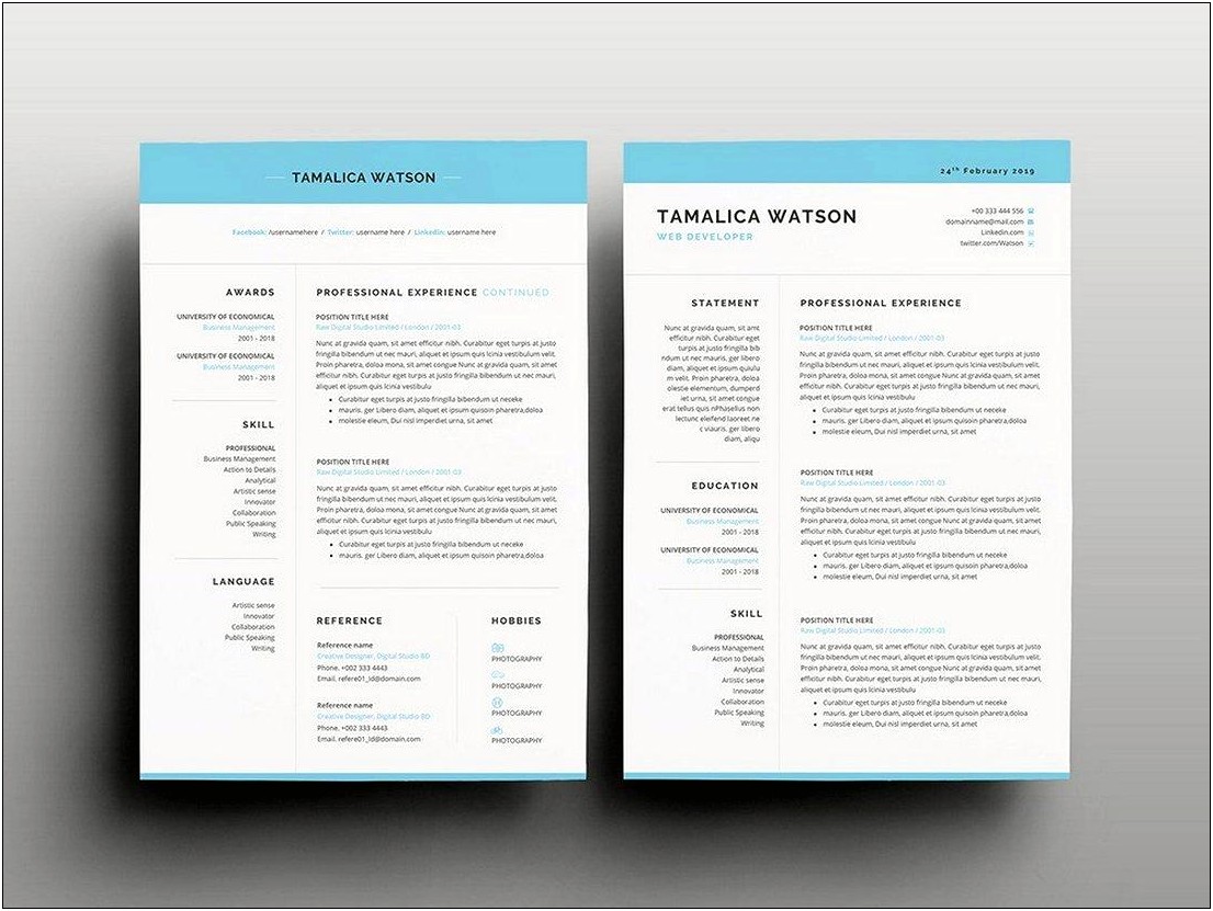 Attractive Professional Resume Templates Free Download