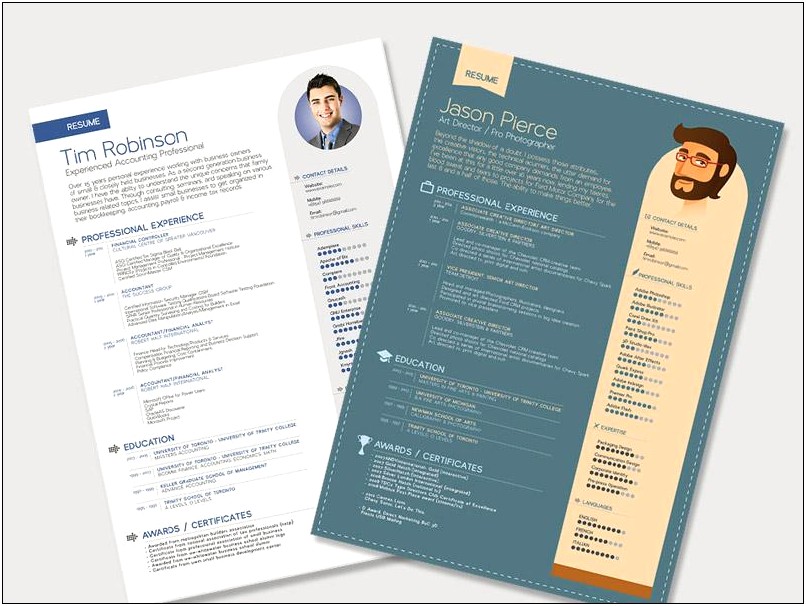 Attractive Resume Templates Indesign Free Download