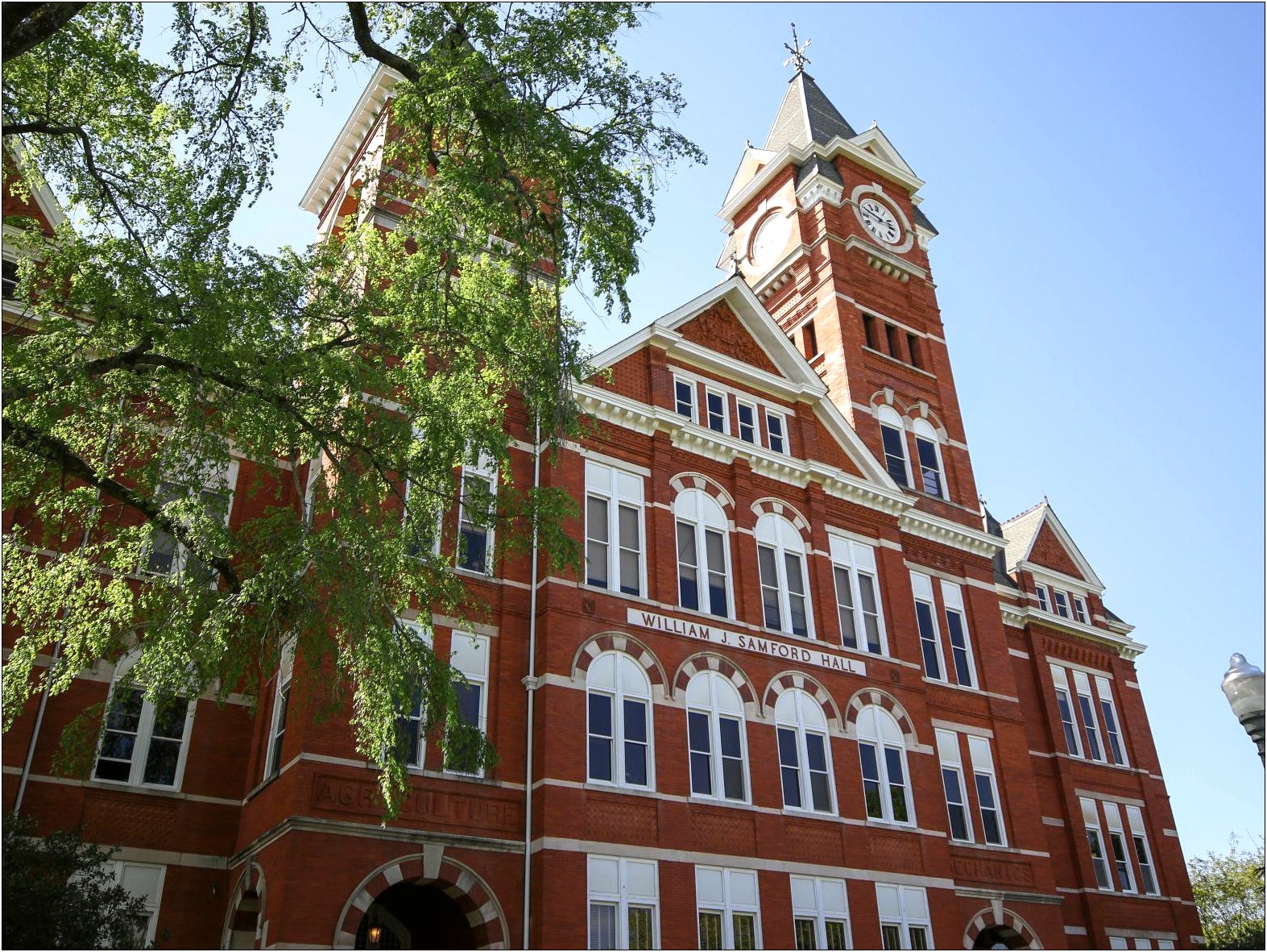 Auburn Harbert College Of Business Resume Template