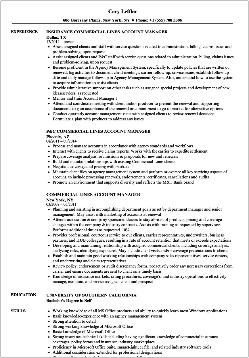 Auto Finance And Insurance Manager Resume