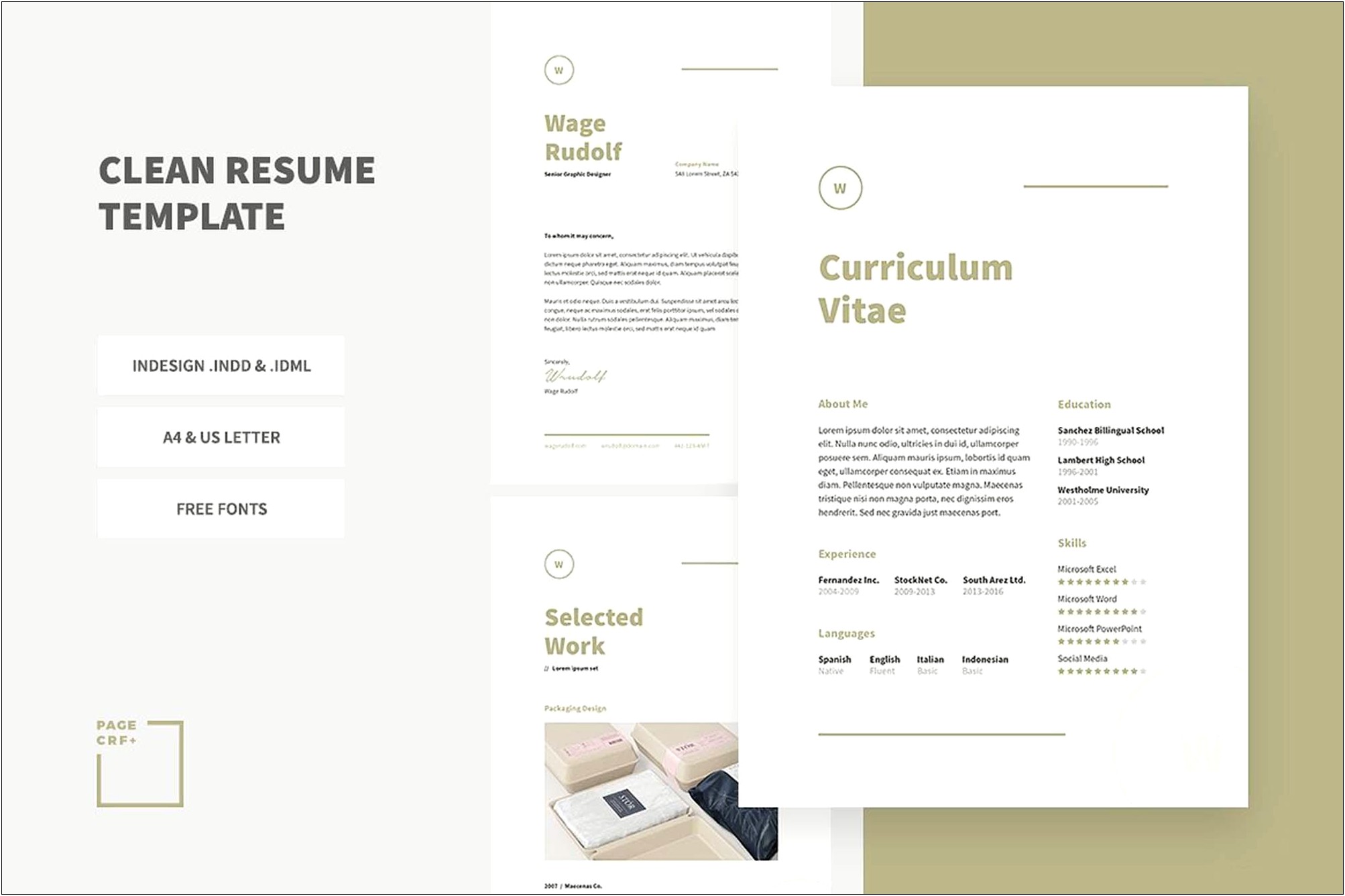 Basic Indesign Resume Template Free Download