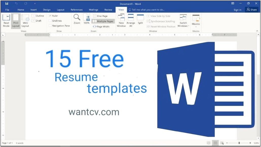 Basic Resume Templates Word Free Download