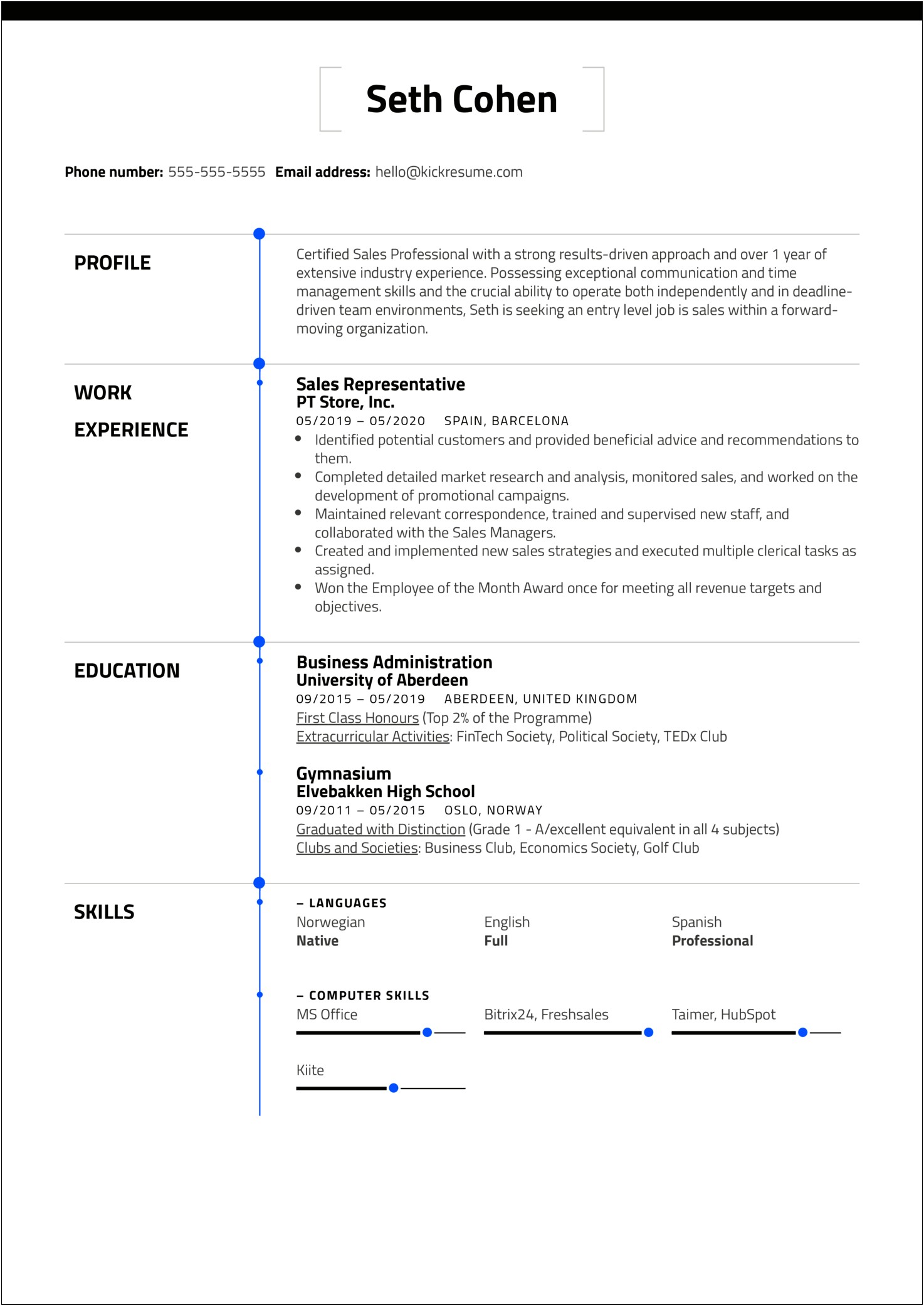 Beginner Professional Summary Resume Sample