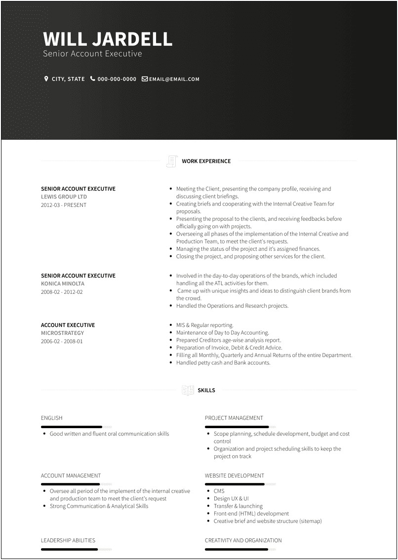 Best Account Executive Resume Examples