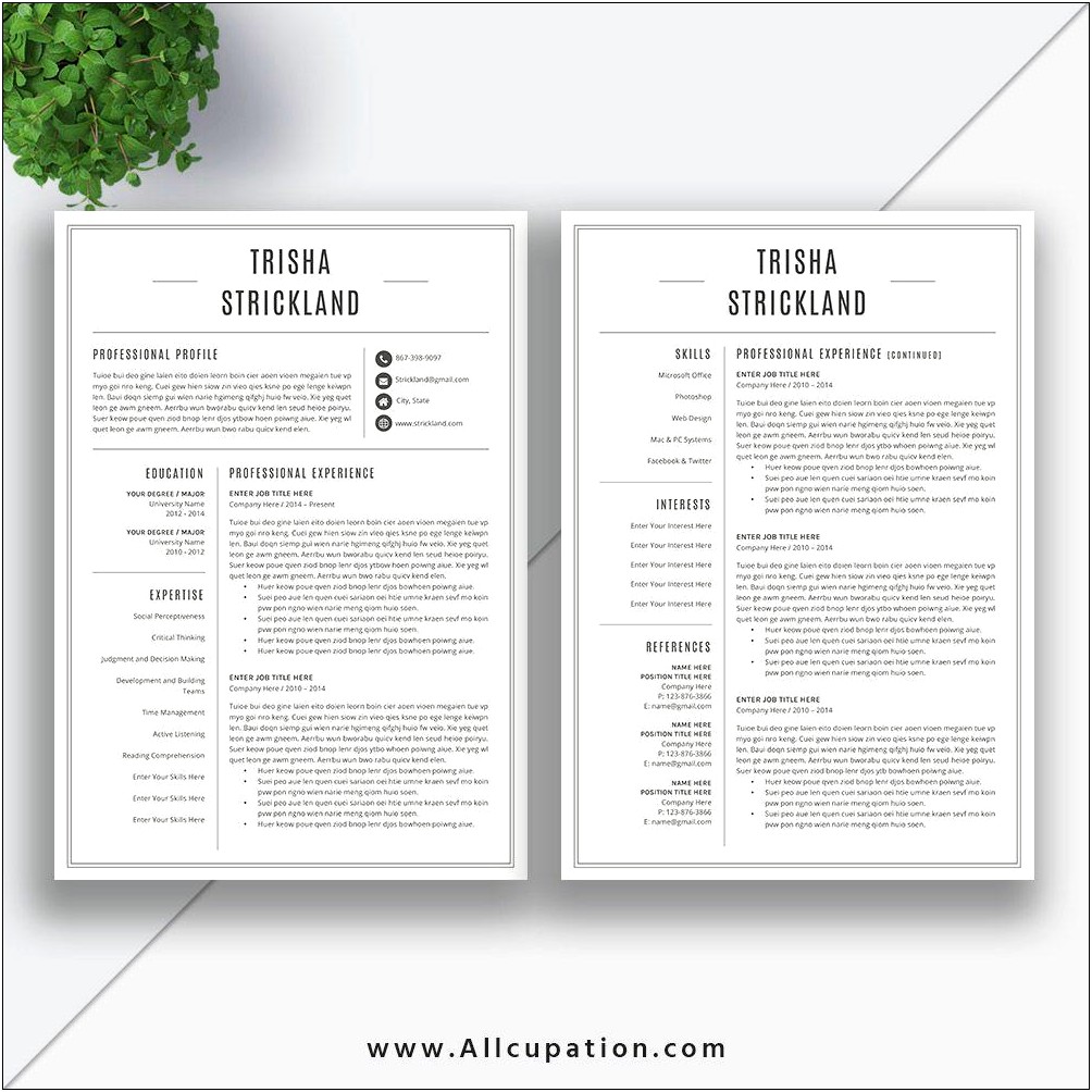 Best Black And White Resume Templates