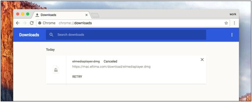 Best Downloader With Resume Chrome