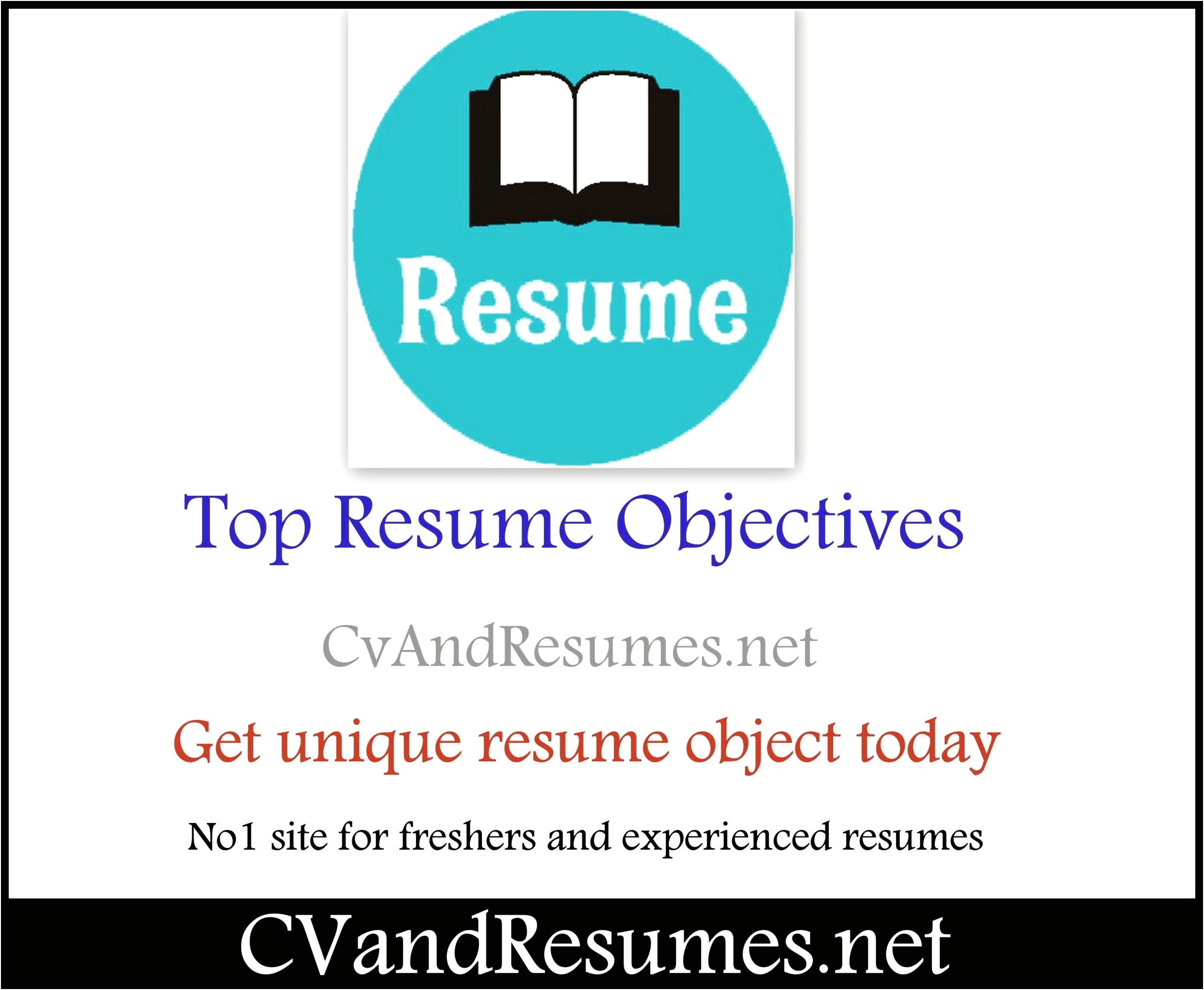 Best Example Of Resume Objectives
