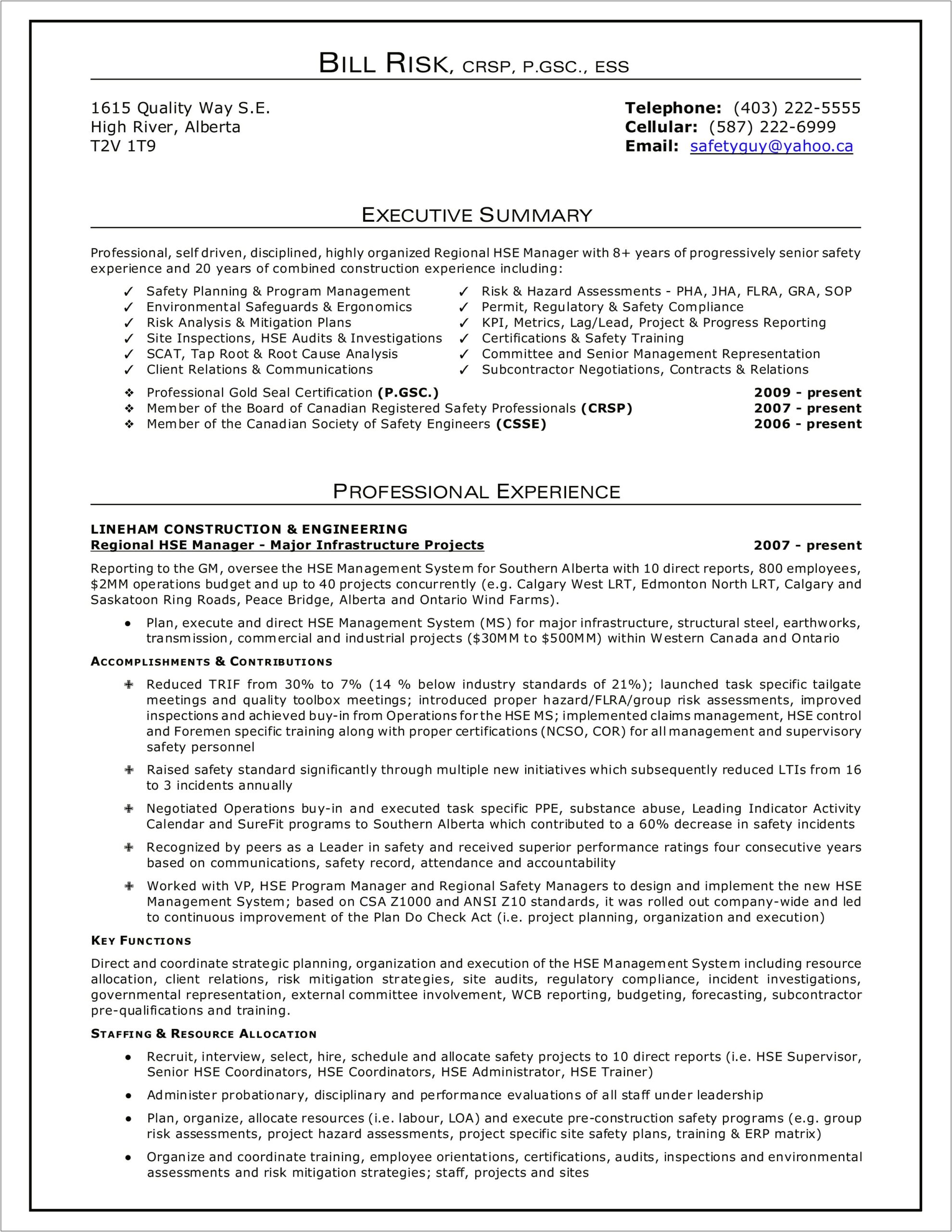 Best Executive Summary For A Resume