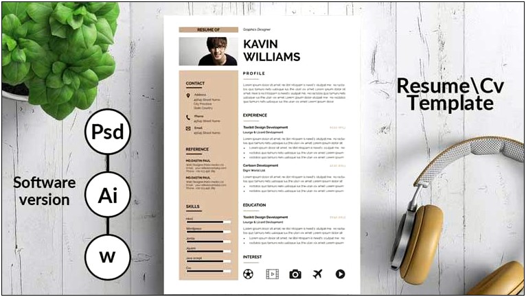 Best Free Professional Resume Templates For Ms Word