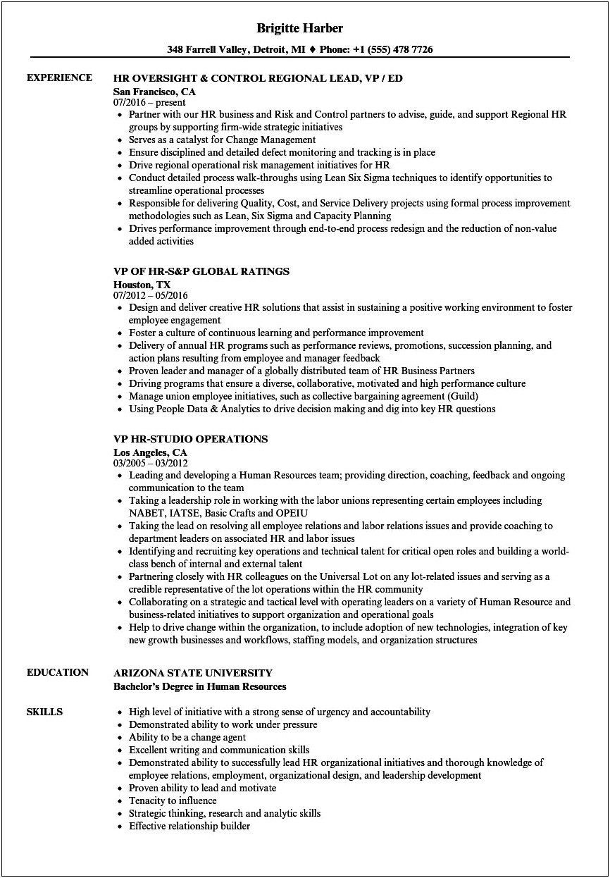 Best Human Resources Vice President Resume