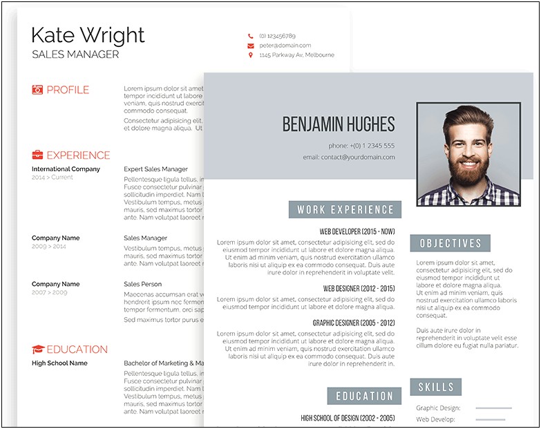 Best Professional Resume Templates Free