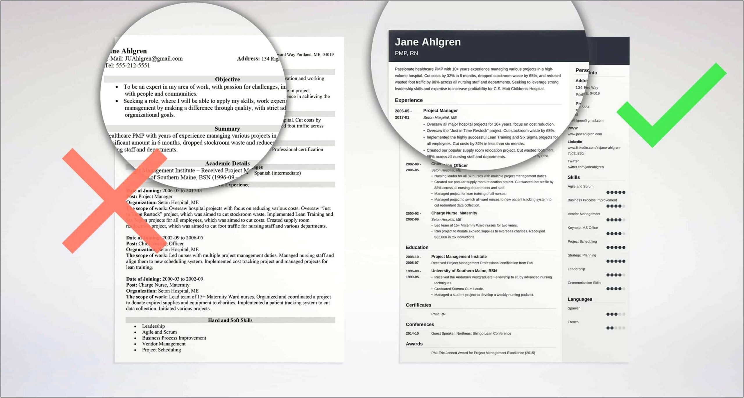 Best Professional Summary Resume Examples