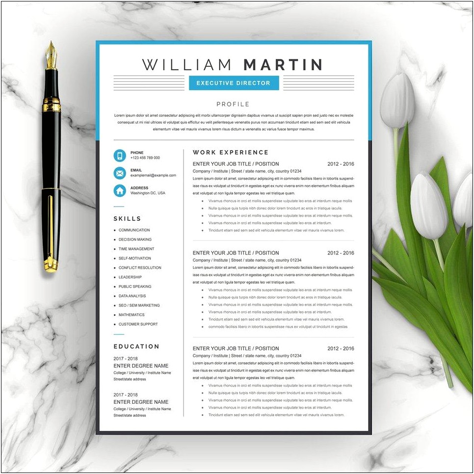 Best Project Manager Resume 2017