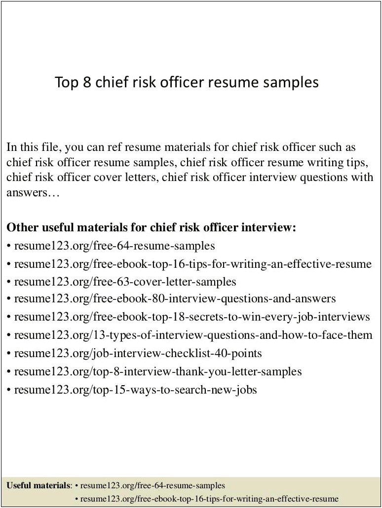Best Resume For A Risk Officer