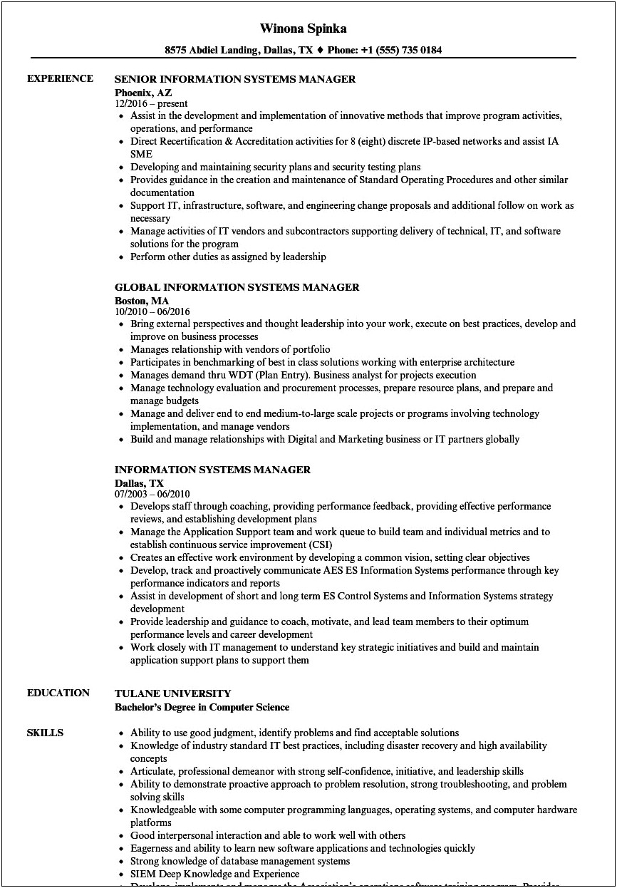 Best Resume For Business Information Systems
