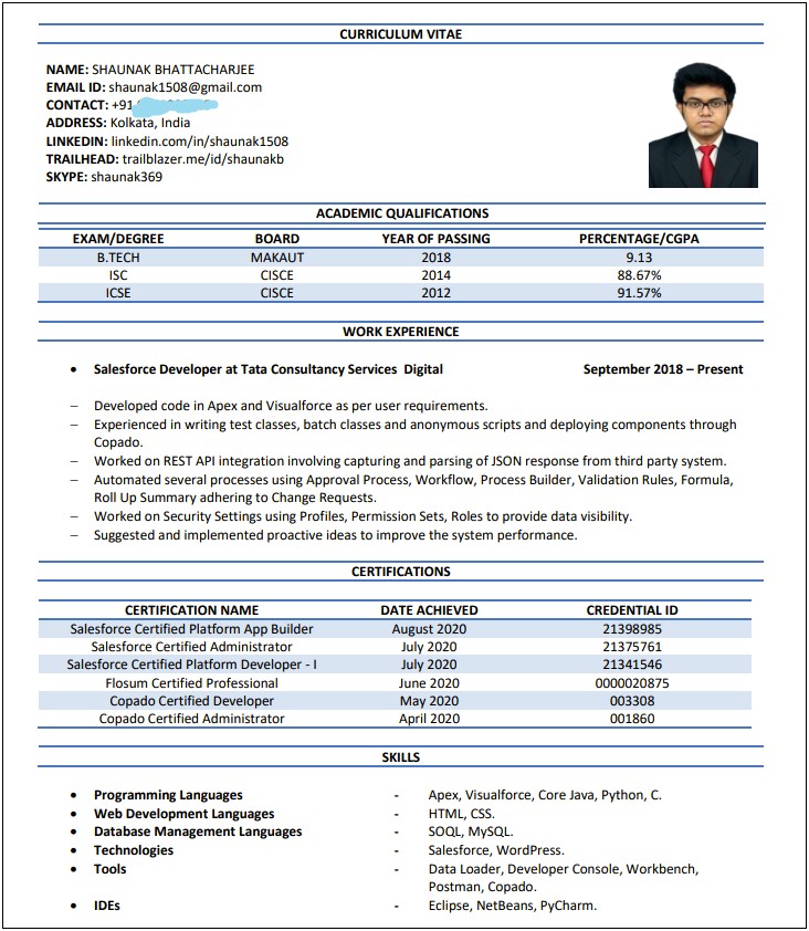 Best Resume Format 2017 In India