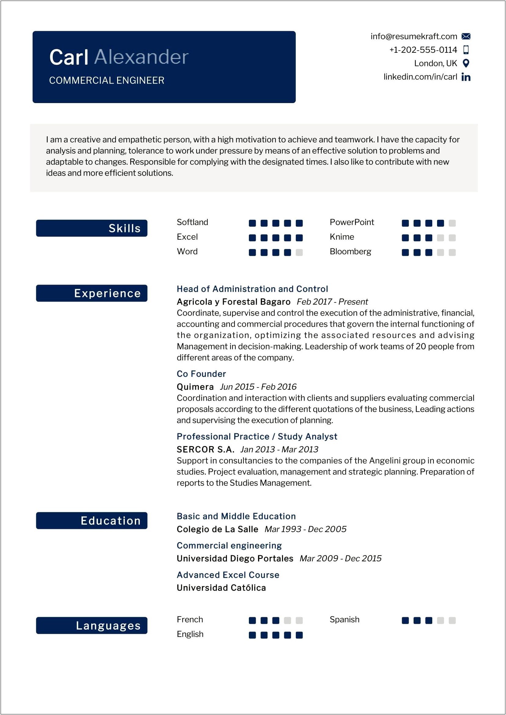 Best Resume Format For Engineers 2015