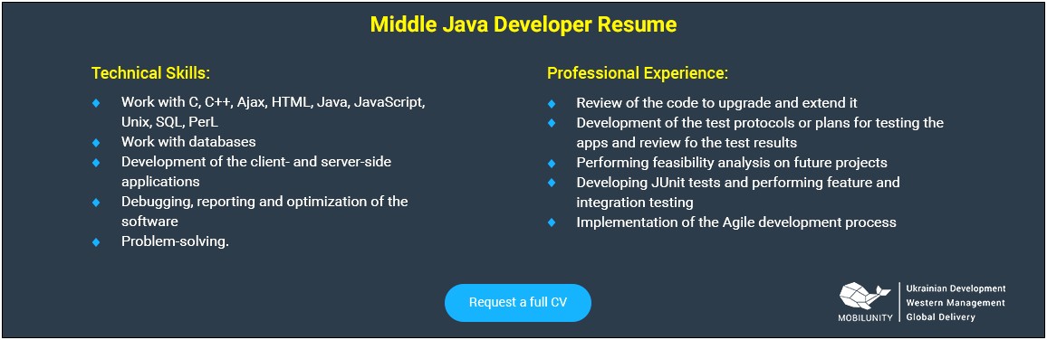 Best Resume Sample For Java Developer
