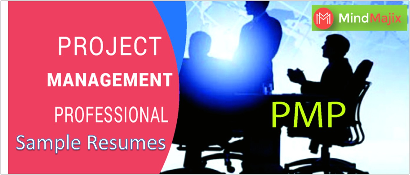 Best Resume Sample Project Manager