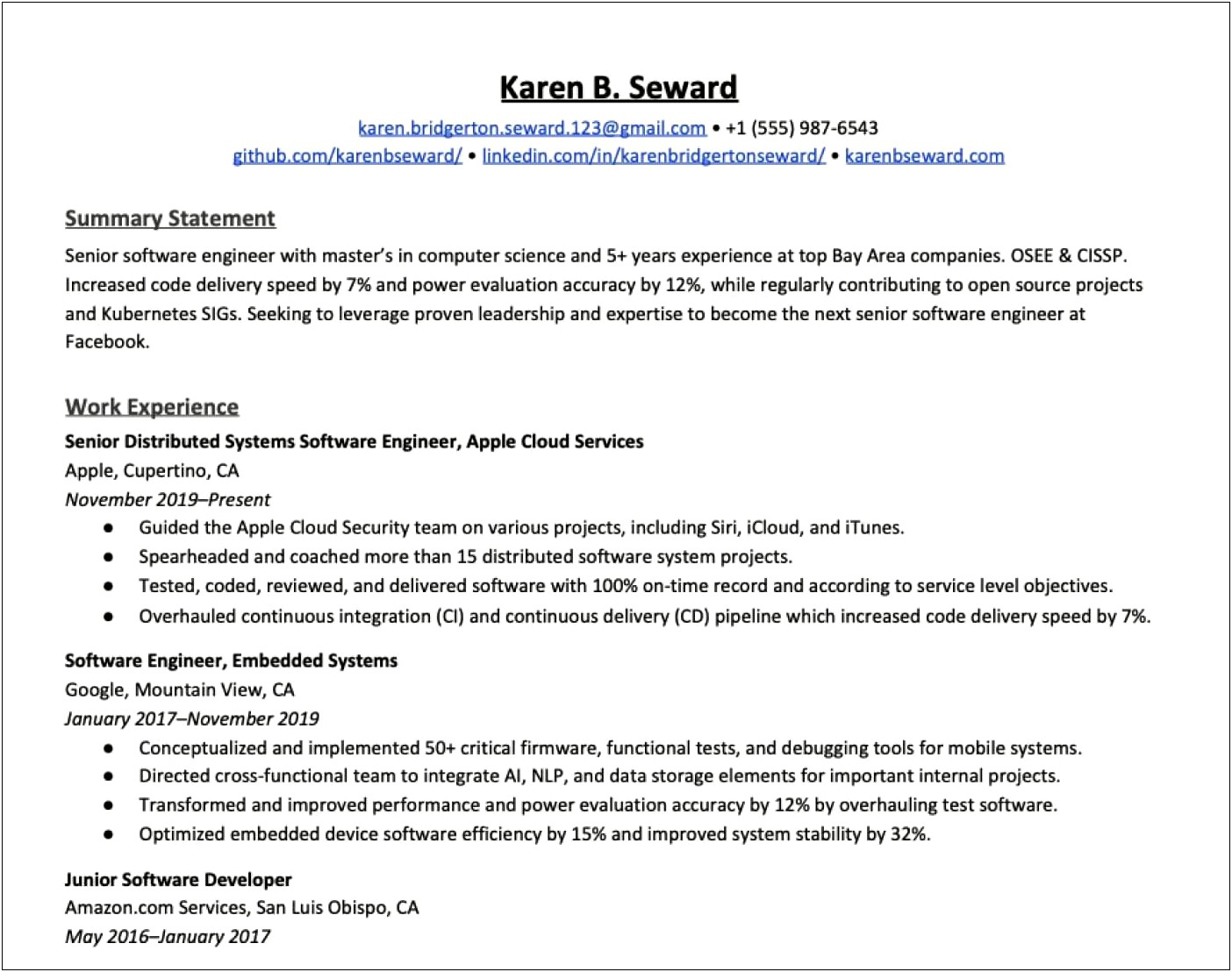 Best Resume Summary Template Examples 2017