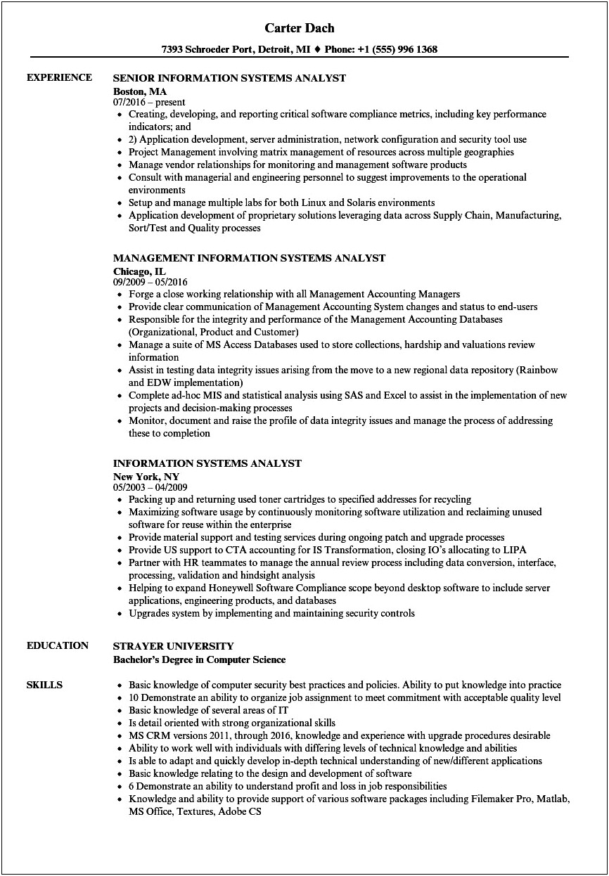 Best Summary For Business Information System Resume