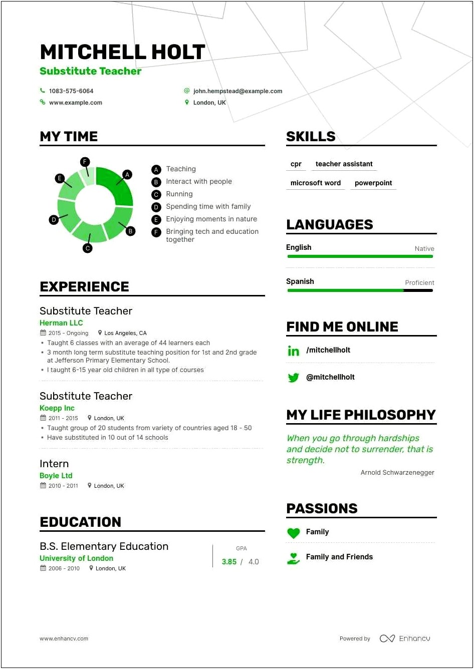 Best Summary For Instructor On Resume