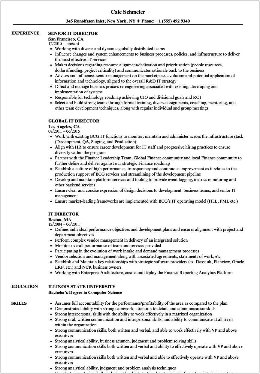 Best Summary On Resume For Business Analysts Cio