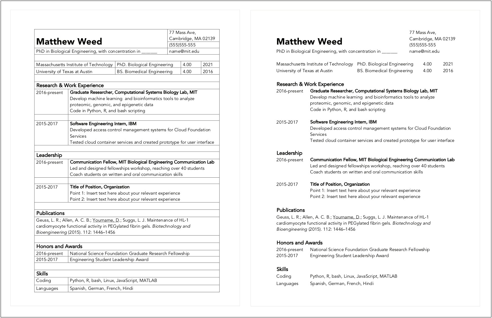 Best Word Themes For Resumes